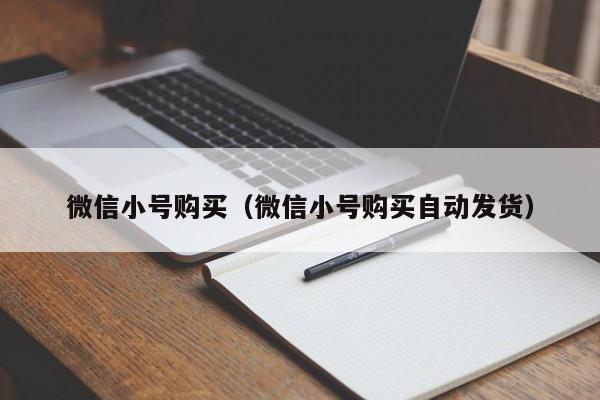 微信小号购买（微信小号购买自动发货）