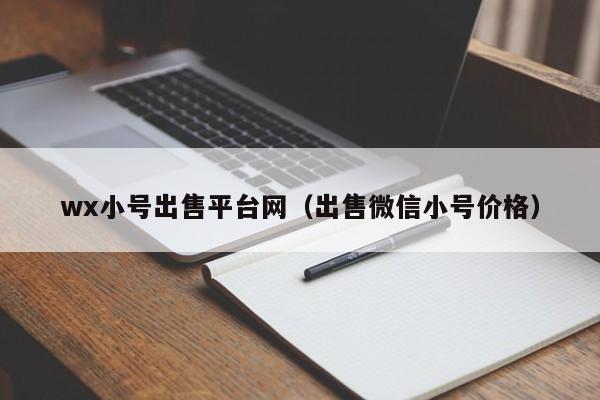 wx小号出售平台网（出售微信小号价格）