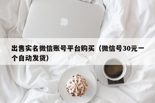 出售实名微信账号平台购买（微信号30元一个自动发货）