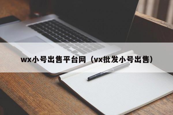 wx小号出售平台网（vx批发小号出售）