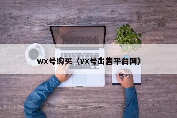 wx号购买（vx号出售平台网）