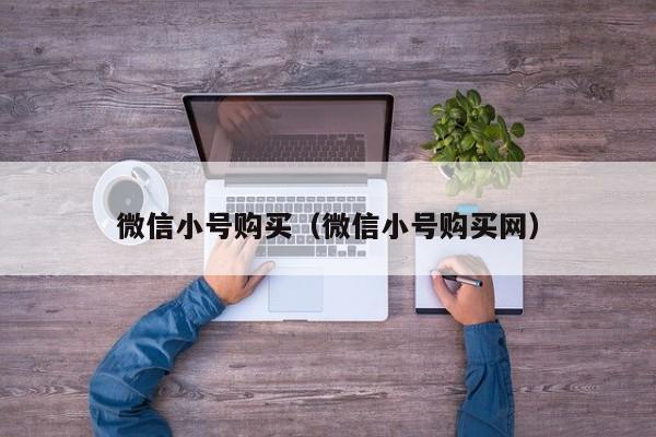 微信小号购买（微信小号购买网）