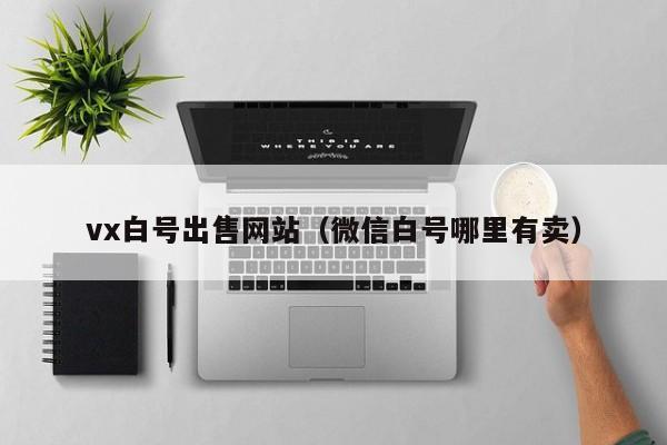 vx白号出售网站（微信白号哪里有卖）