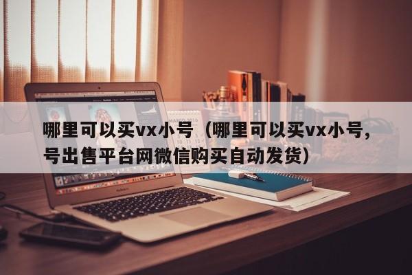 哪里可以买vx小号（哪里可以买vx小号,号出售平台网微信购买自动发货）