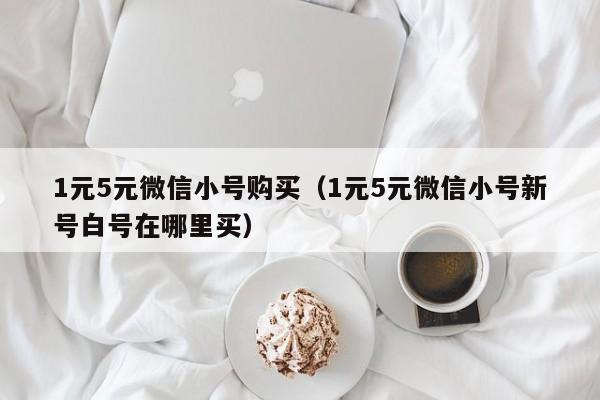 1元5元微信小号购买（1元5元微信小号新号白号在哪里买）