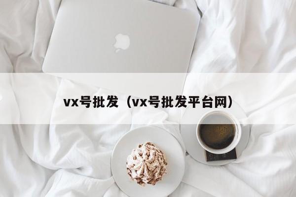 vx号批发（vx号批发平台网）